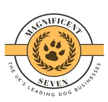 Selected member of The Magnificent Seven