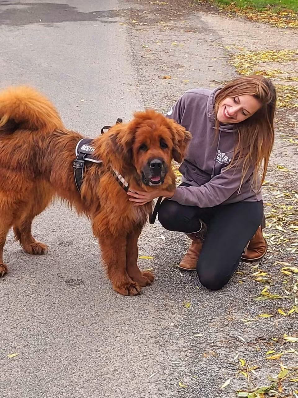 Tsar, Michelle’s much-loved Tibetan Mastiff